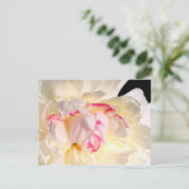 Peony in Morgenlicht Postkarte (Stehend Vorderseite)