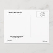 Peony in Morgenlicht Postkarte (Rückseite)