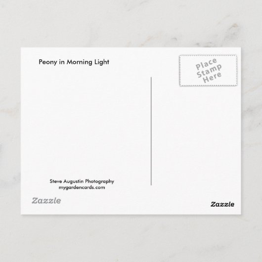 Peony in Morgenlicht Postkarte (Rückseite)