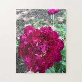 Peony Jigsaw Puzzle