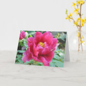 Peony Karte (Gelbe Blume)