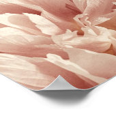 Peony & Lavender Harmony Poster (Ecke)