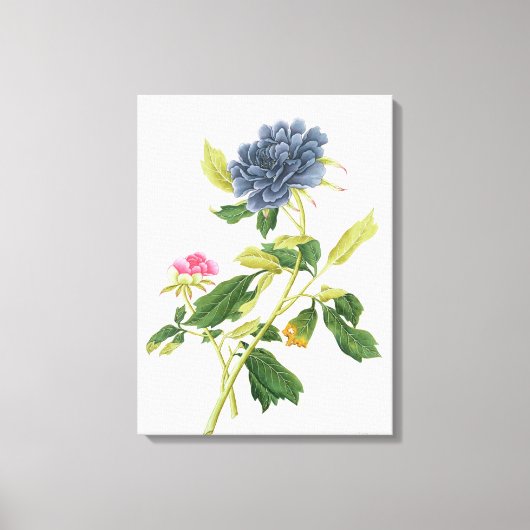 Peony Leinwanddruck (Vorderseite)