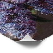 Peony Lilac Blume Basket Bar viale Poster (Ecke)