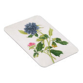 Peony Magnet (Rechte Seite)