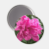 Peony Magnet (Vorderseite/Rückseite)