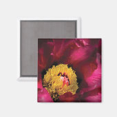 Peony Magnet (Vorderseite/Rückseite)