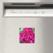 Peony Magnet (In Situ (Geschirrspüler))