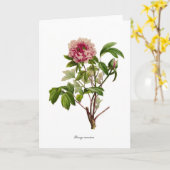 Peony Moutan Karte (Gelbe Blume)