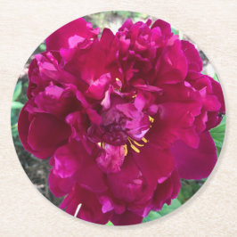 Peony Paper Untersetzer