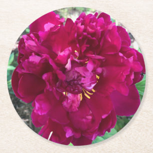 Peony Paper Untersetzer