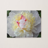 Peony Passion Puzzle (Horizontal)
