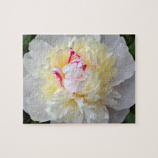 Peony Passion Puzzle (Horizontal)