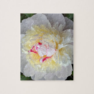 Peony Passion Puzzle