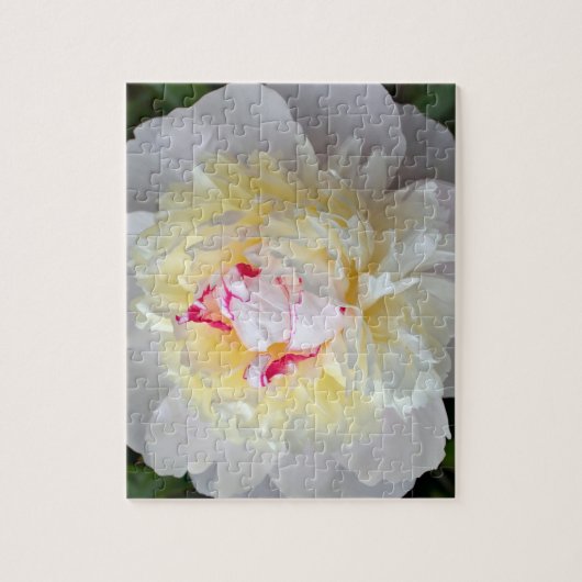 Peony Passion Puzzle (Vertikal)