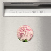 Peony Petals Magnet (In Situ (Geschirrspüler))