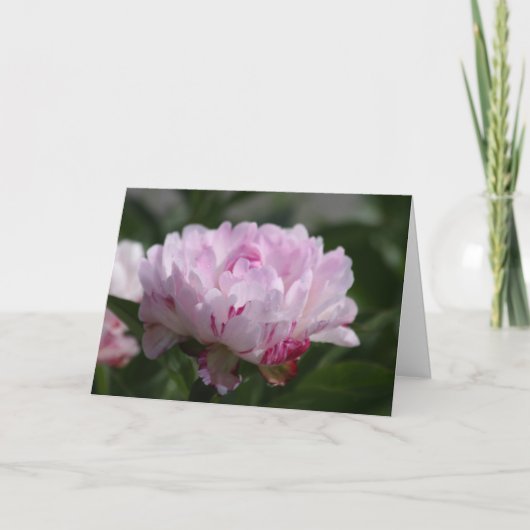 Peony "Petit Elegance" Karte (Vorderseite)
