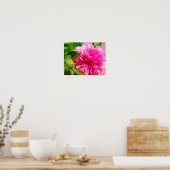 Peony Pink Blume Poster (Küche)