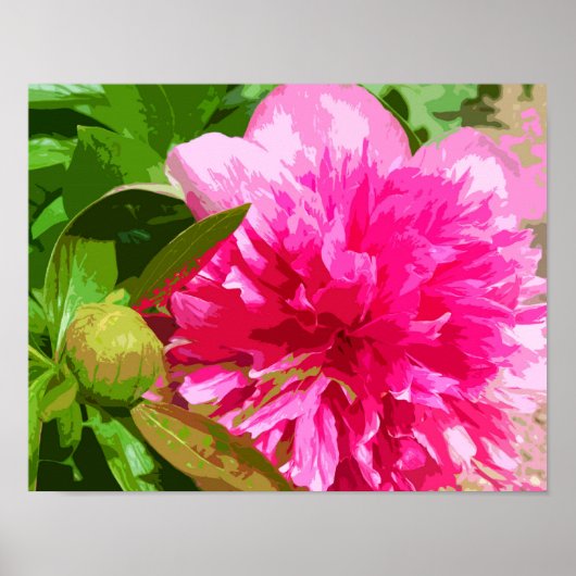 Peony Pink Blume Poster (Vorne)