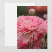 Peony Pink Ranunculus Closeup Feiertagskarte (Vorne/Hinten)