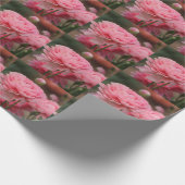 Peony Pink Ranunculus Closeup Geschenkpapier (Ecke)