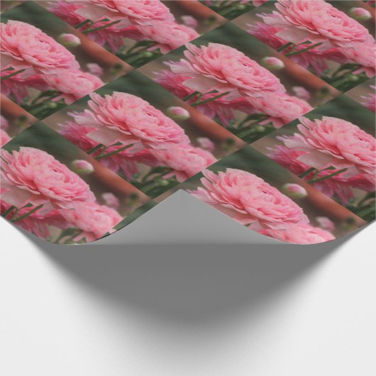 Peony Pink Ranunculus Closeup Geschenkpapier (Ecke)