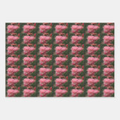 Peony Pink Ranunculus Closeup Geschenkpapier Set (Vorderseite 3)