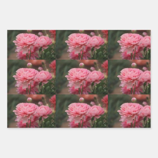 Peony Pink Ranunculus Closeup Geschenkpapier Set (Vorderseite 2)