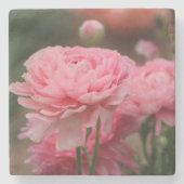 Peony Pink Ranunculus Closeup Steinuntersetzer (Vorderseite)