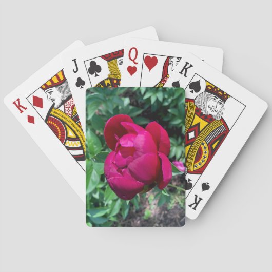 Peony Playing Cards Spielkarten (Rückseite)