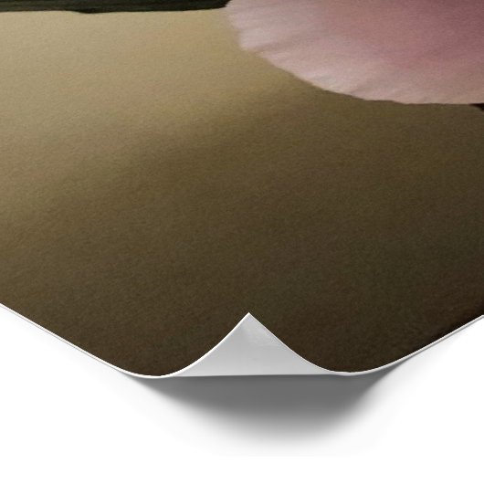 Peony, Poster (Ecke)