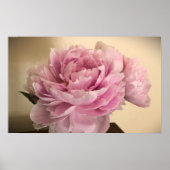 Peony, Poster (Vorne)