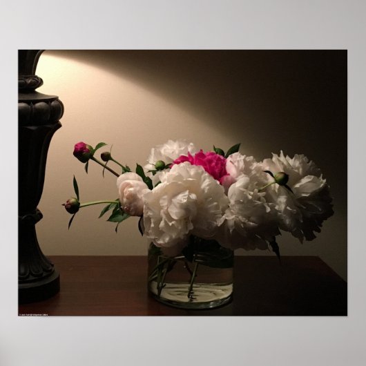 Peony, Poster (Vorne)