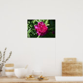 Peony, Poster (Küche)