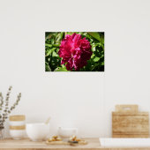 Peony, Poster (Küche)