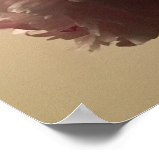 Peony, Poster (Ecke)