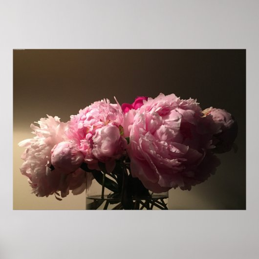 Peony, Poster (Vorne)
