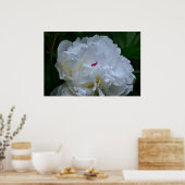 Peony, Poster (Küche)