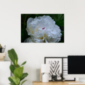 Peony, Poster (Heimbüro)