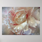 Peony, Poster (Vorne)