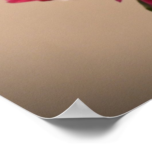 Peony, Poster (Ecke)