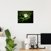 Peony, Poster (Heimbüro)