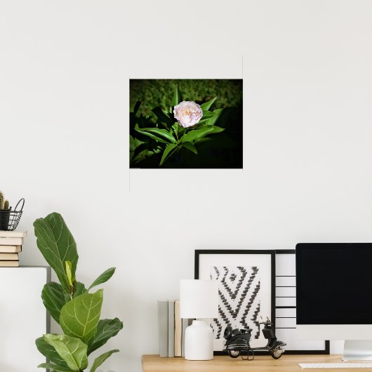 Peony, Poster (Heimbüro)