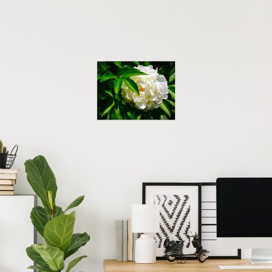 Peony, Poster (Heimbüro)