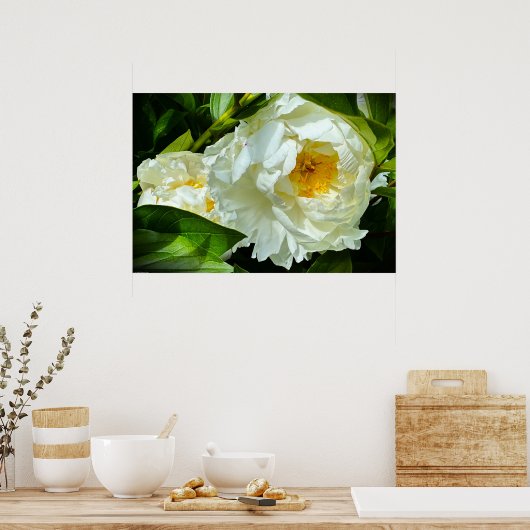 Peony, Poster (Küche)
