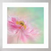 Peony Poster (Vorne)