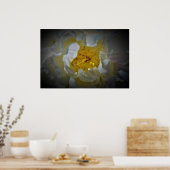 Peony, Poster (Küche)