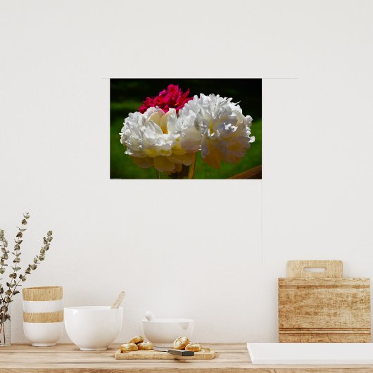 Peony, Poster (Küche)