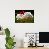 Peony, Poster (Heimbüro)