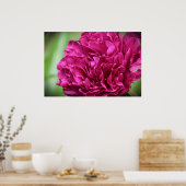 Peony, Poster (Küche)